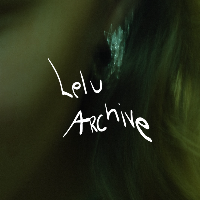 Lelu Archive: Fluid Ways Earrings
